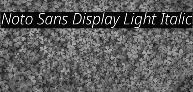 Noto Sans Display Light Italic Example 1