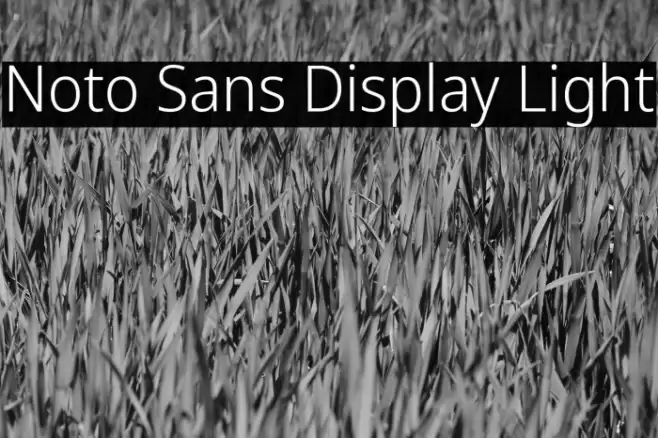 Noto Sans Display Light Font examples