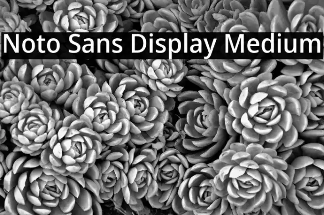 Noto Sans Display Medium Font examples