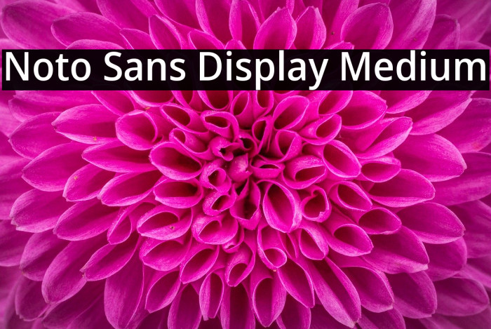 Noto Sans Display Medium Font - FFonts.net