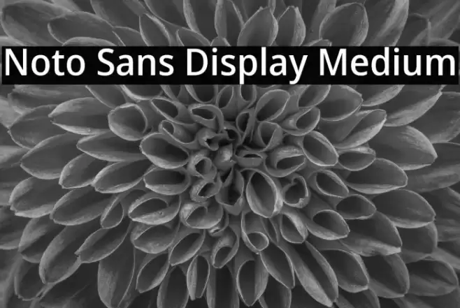 Noto Sans Display Medium Font examples