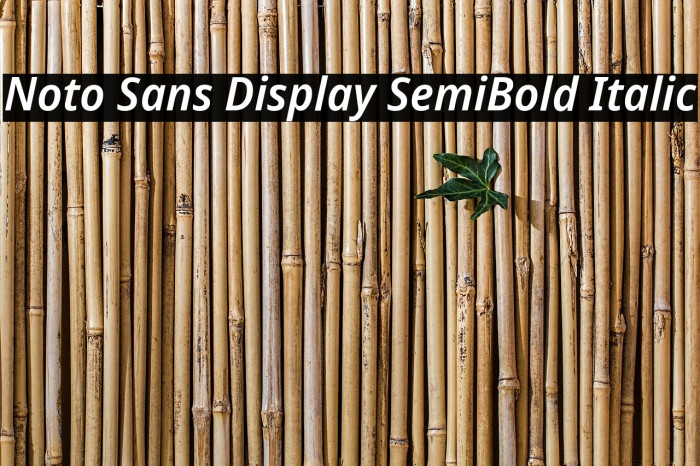 Noto Sans Display SemiBold Italic Example 1