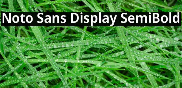 Noto Sans Display SemiBold Example 2