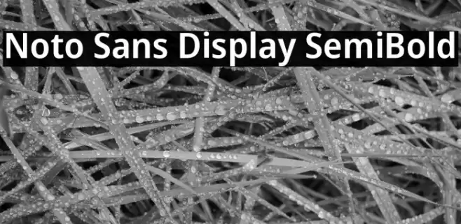 Noto Sans Display SemiBold Font examples