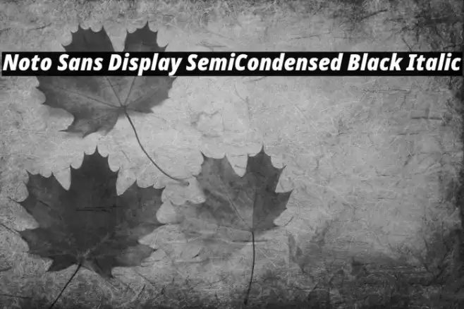 Noto Sans Display SemiCondensed Black Italic Example 1