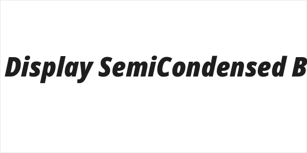 Noto Sans Display SemiCondensed Black Italic Logo