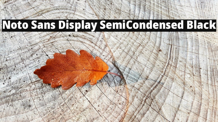 Noto Sans Display SemiCondensed Black Example 1