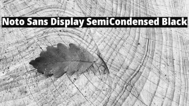Noto Sans Display SemiCondensed Black Font examples
