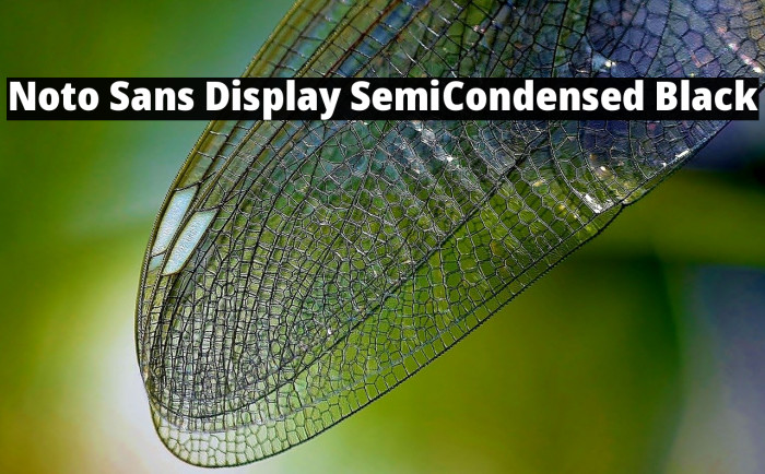 Noto Sans Display SemiCondensed Black Example 2
