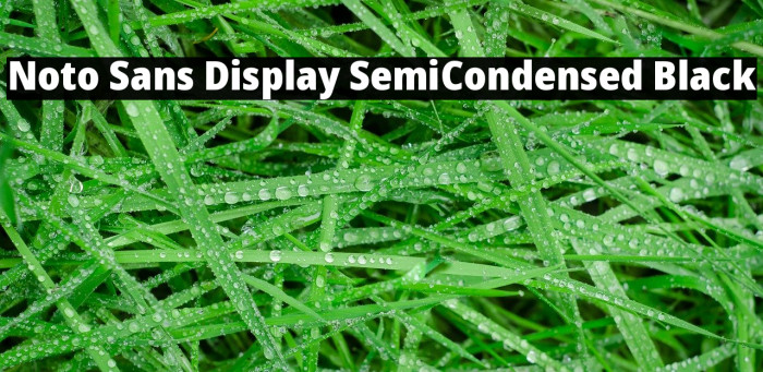 Noto Sans Display SemiCondensed Black Example 3