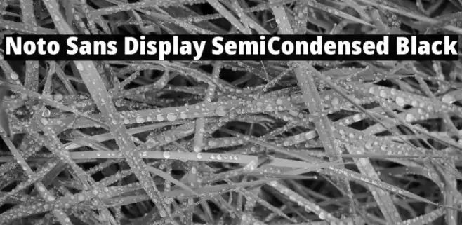 Noto Sans Display SemiCondensed Black Font examples