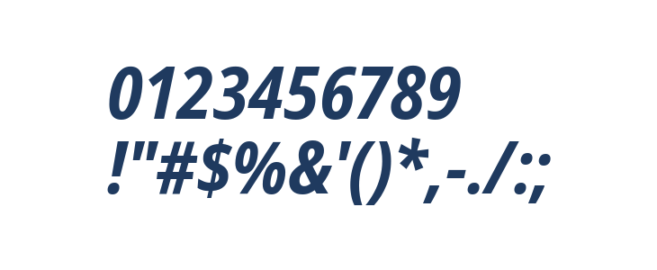 Noto Sans Display SemiCondensed Bold Italic Other Characters