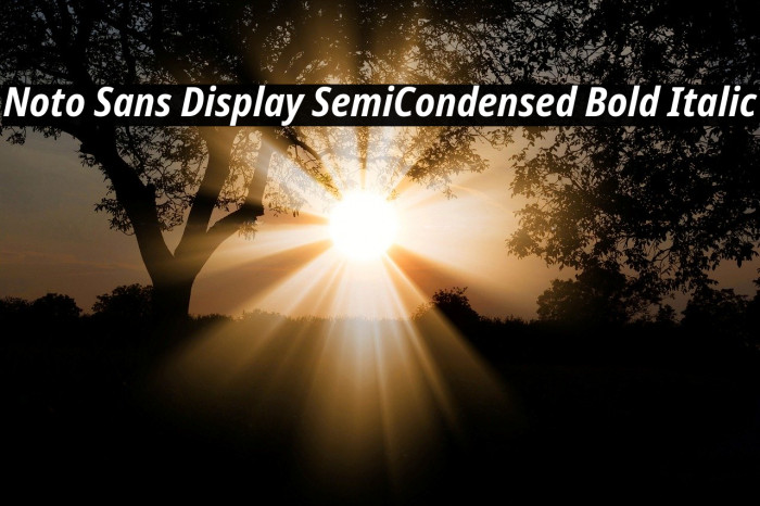 Noto Sans Display SemiCondensed Bold Italic Example 2