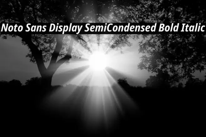 Noto Sans Display SemiCondensed Bold Italic Font examples