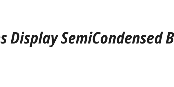 Noto Sans Display SemiCondensed Bold Italic Logo