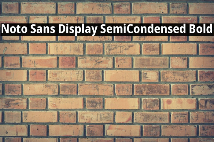 Noto Sans Display SemiCondensed Bold Font examples
