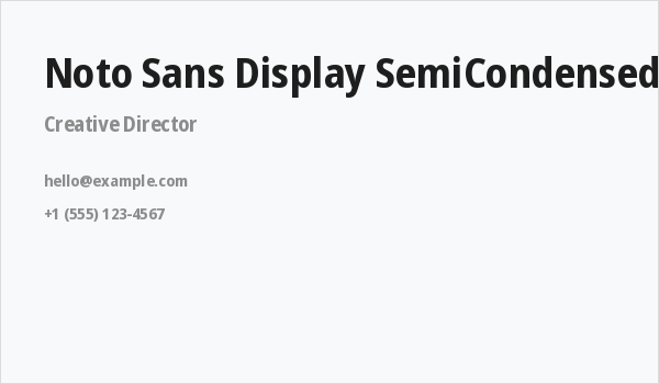 Noto Sans Display SemiCondensed Bold Business Card