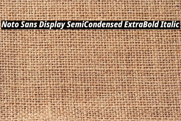Noto Sans Display SemiCondensed ExtraBold Italic Font examples