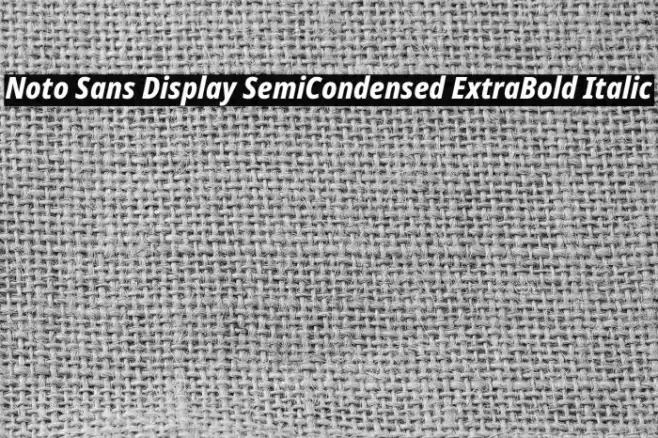 Noto Sans Display SemiCondensed ExtraBold Italic Example 1