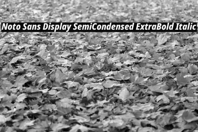 Noto Sans Display SemiCondensed ExtraBold Italic Example 2