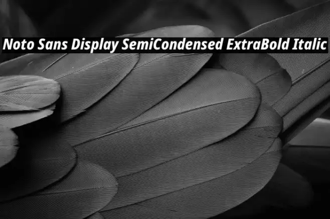 Noto Sans Display SemiCondensed ExtraBold Italic Example 3