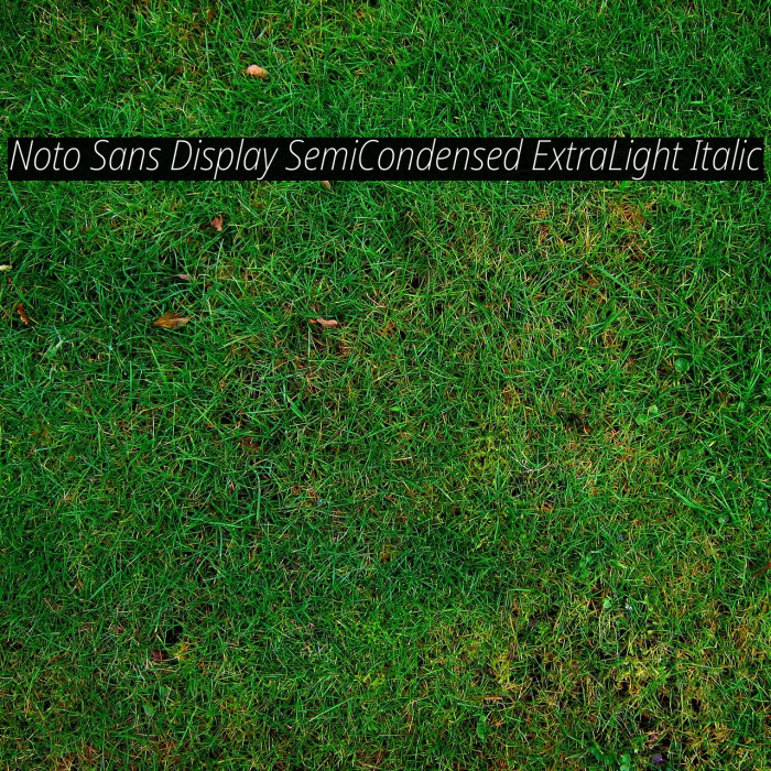 Noto Sans Display SemiCondensed ExtraLight Italic Example 3