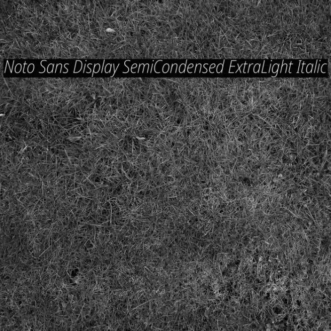 Noto Sans Display SemiCondensed ExtraLight Italic Font examples
