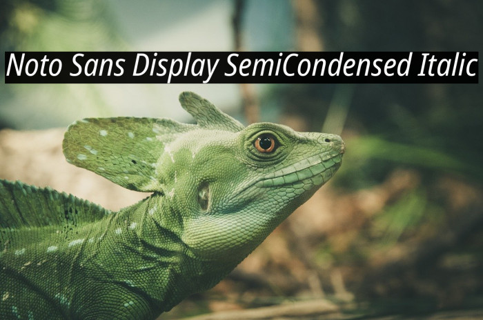 Noto Sans Display SemiCondensed Italic Example 2