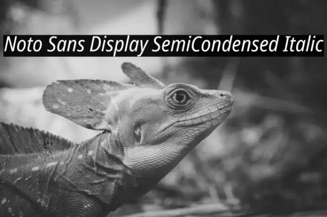 Noto Sans Display SemiCondensed Italic Font examples