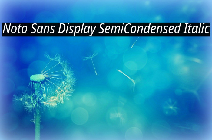 Noto Sans Display SemiCondensed Italic Example 3