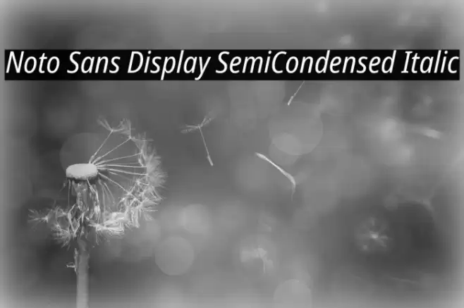 Noto Sans Display SemiCondensed Italic Font examples