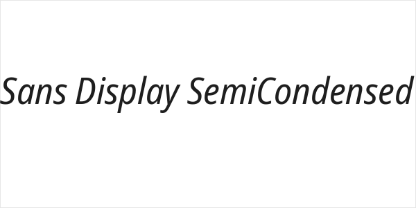 Noto Sans Display SemiCondensed Italic Logo