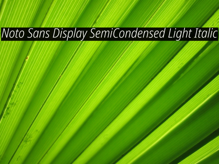 Noto Sans Display SemiCondensed Light Italic Font examples