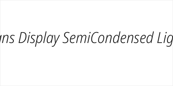 Noto Sans Display SemiCondensed Light Italic Logo