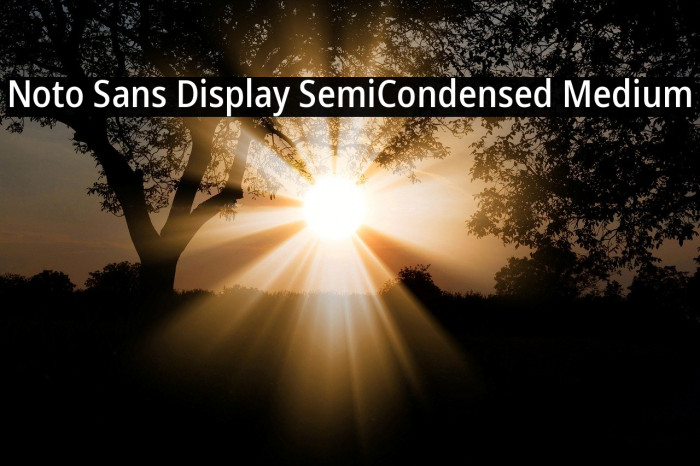 Noto Sans Display SemiCondensed Medium Example 1