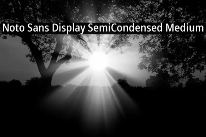Noto Sans Display SemiCondensed Medium Font examples