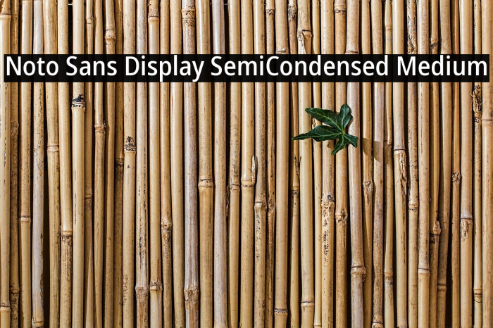 Noto Sans Display SemiCondensed Medium Example 2