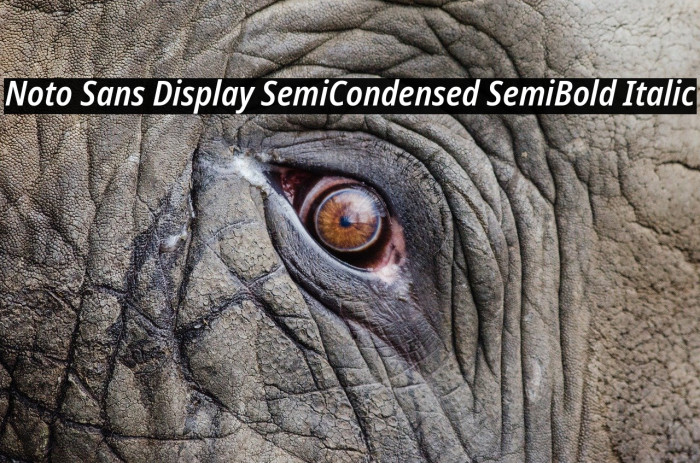 Noto Sans Display SemiCondensed SemiBold Italic Example 3
