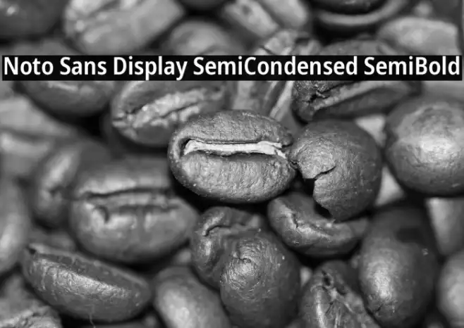 Noto Sans Display SemiCondensed SemiBold Example 2