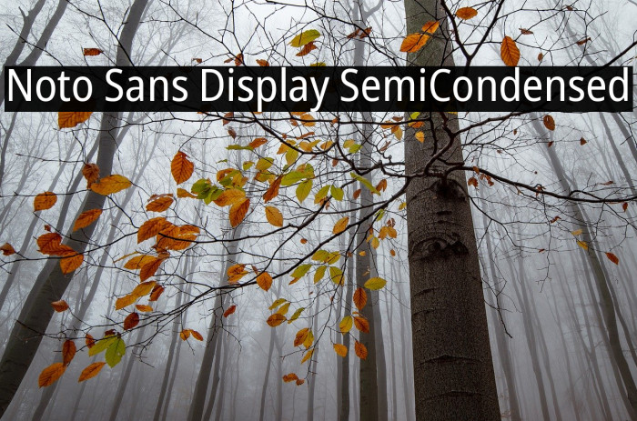 Noto Sans Display SemiCondensed Font examples