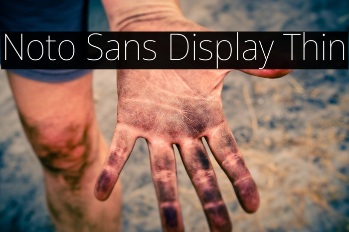 Noto Sans Display Thin Font examples