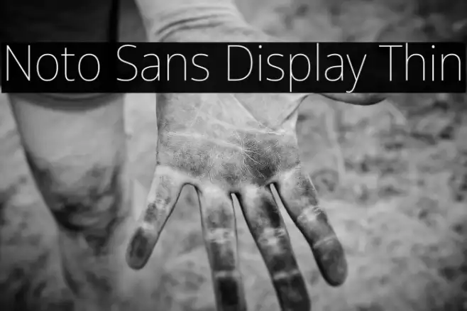 Noto Sans Display Thin Example 1