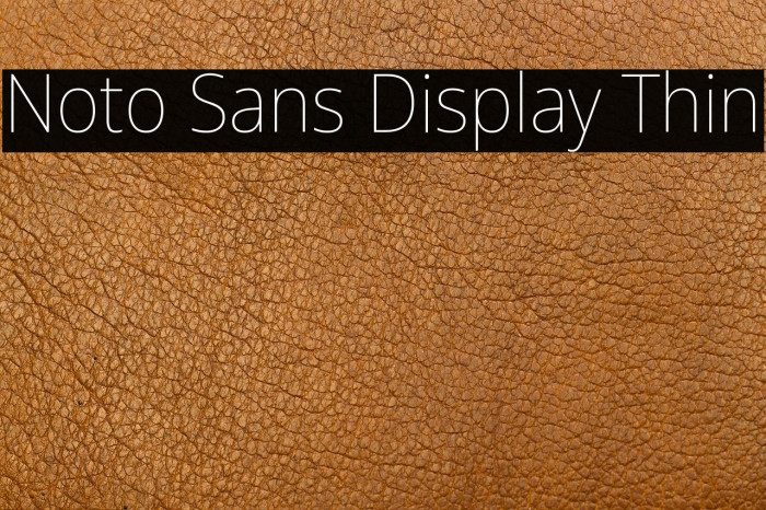 Noto Sans Display Thin Font examples