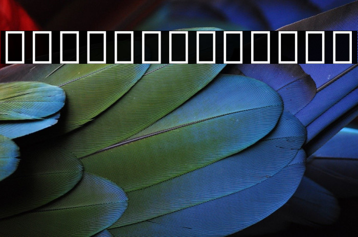 Noto Sans Egyptian Hieroglyphs Regular Example 2