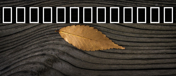 Noto Sans Ethiopic Condensed Light Example 3