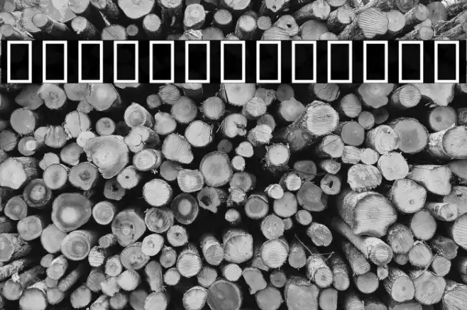 Noto Sans Ethiopic ExtraCondensed Light Example 1