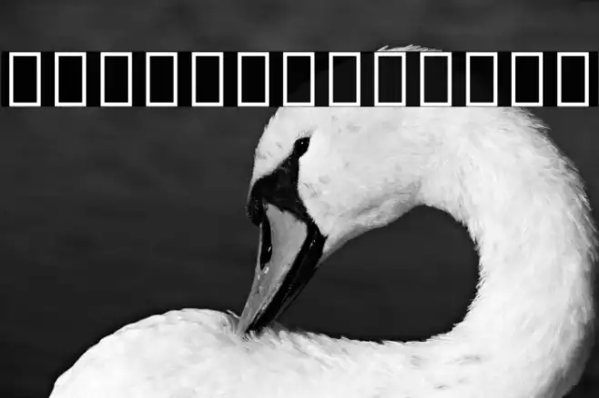 Noto Sans Ethiopic ExtraCondensed Light Example 3