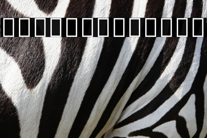 Noto Sans Ethiopic Medium Example 3