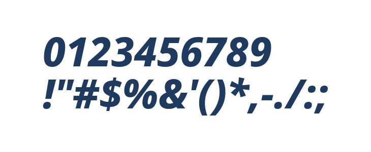 Noto Sans ExtraBold Italic Other Characters