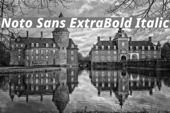 Noto Sans ExtraBold Italic Font examples